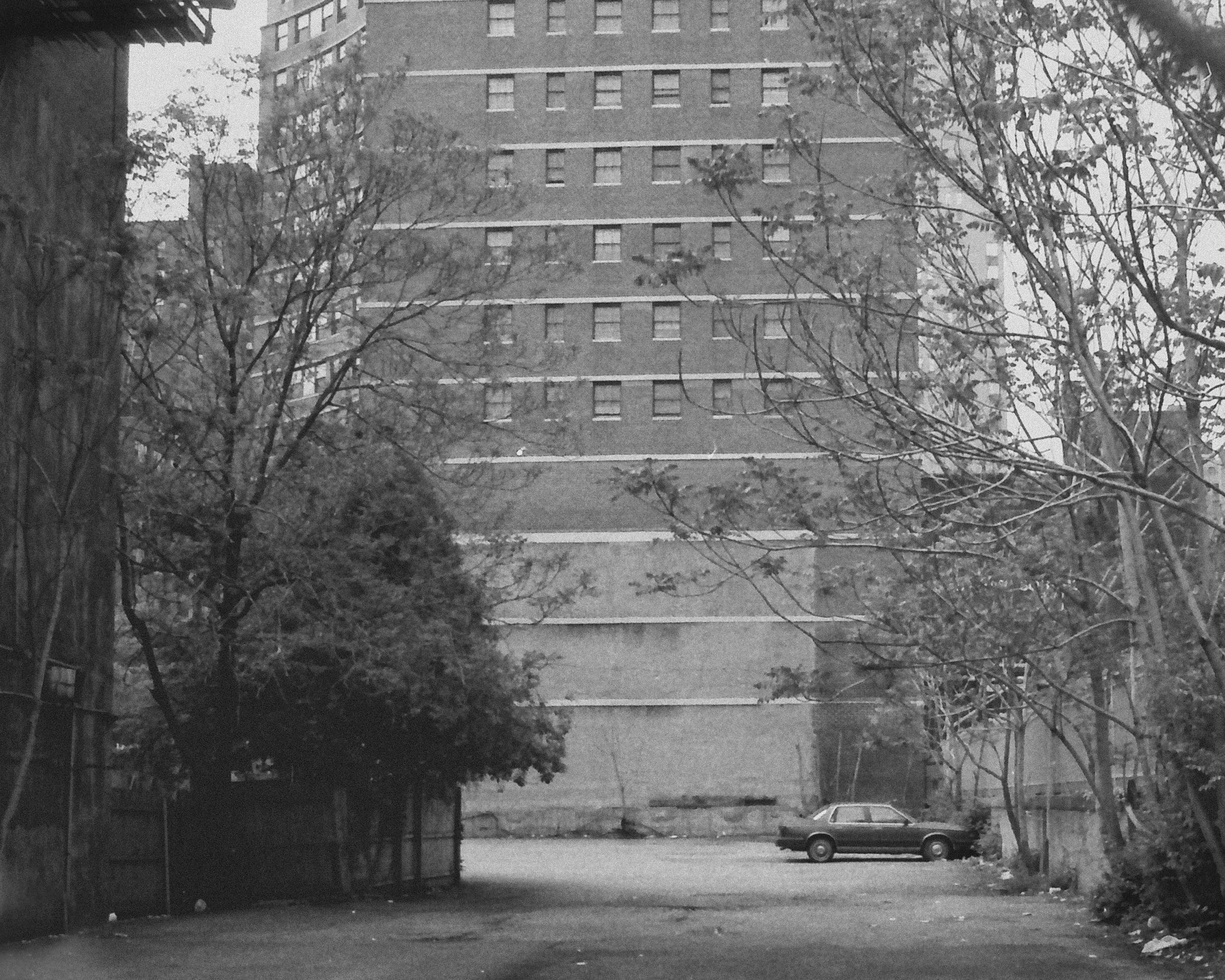 shane_deruise_alleyways_alley_car.jpg