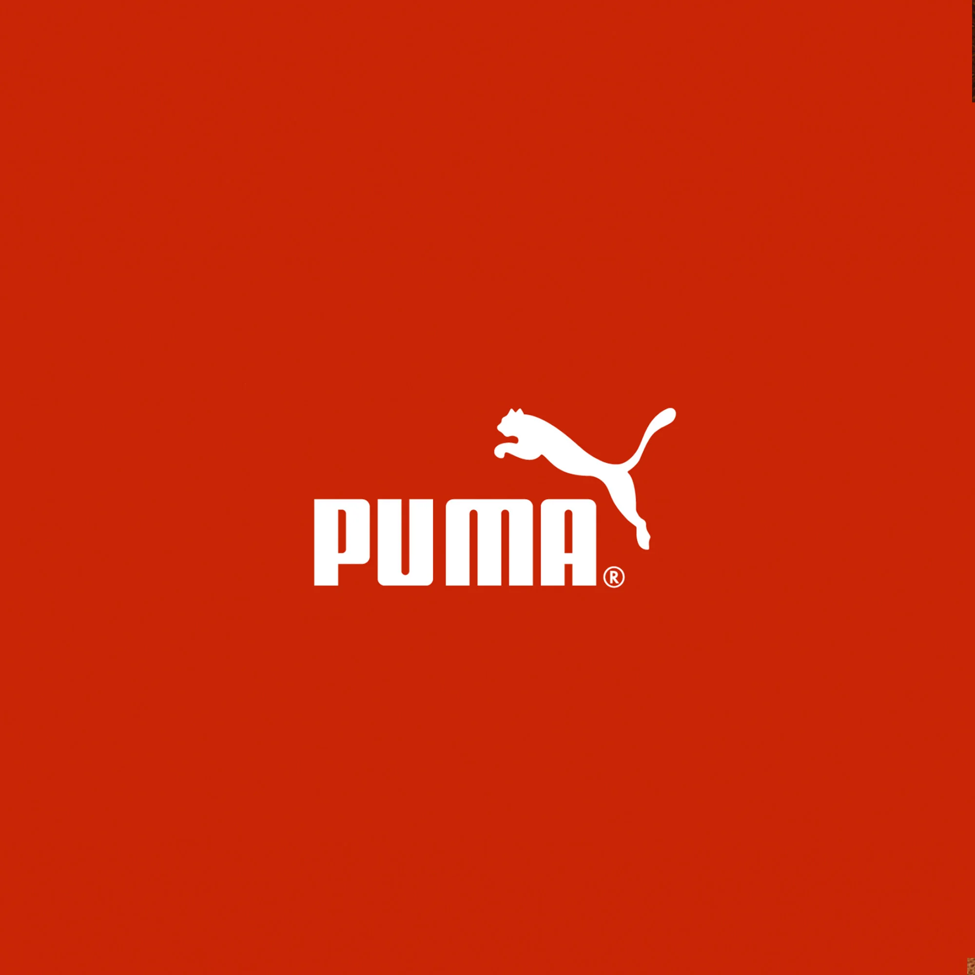 Puma.jpg