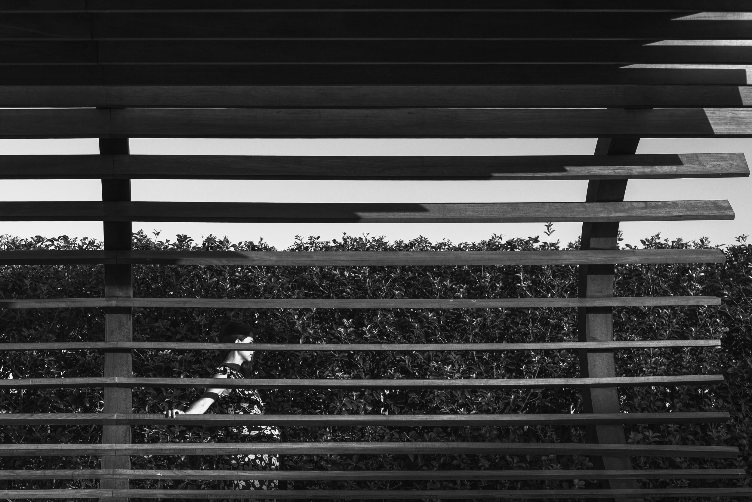 Marta-Gravidanza-fotografo-ritratto-pancione-servizio-fotografico-Oderzo-Treviso-Venezia-Pordenone-Portobuffolè.JPG