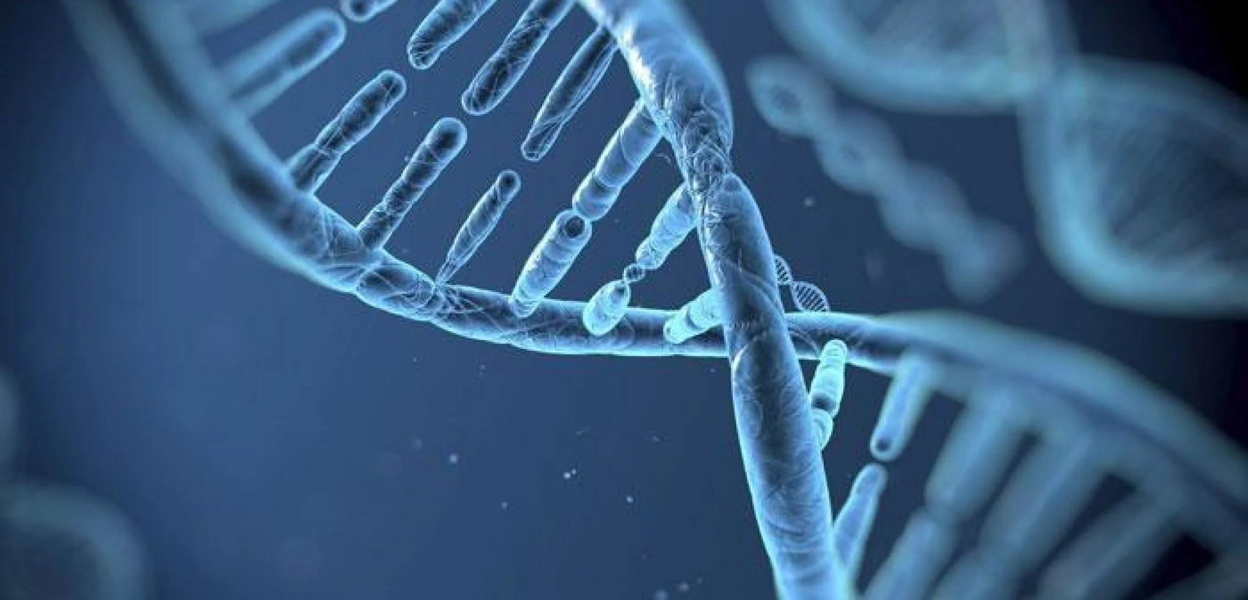 Cells-nzqn6ss6vm6vwk7ycs61lubw26e40i98yl0c7t7tn8.jpg
