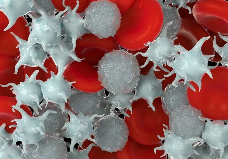 platelet-rich-plasma.jpg