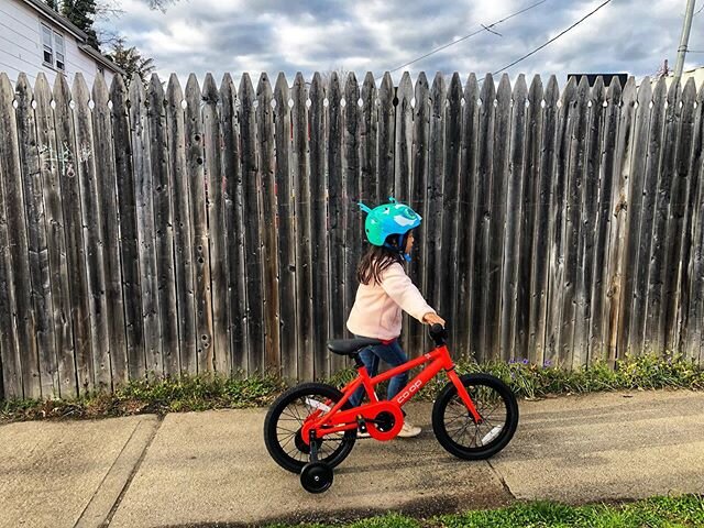 These past few weeks have been rough physically and emotionally for our little family.

All of us except for Theo got extremely sick after we got back from our SoCal trip. A &amp; M tested negative for COVID-19 but we were warned about false negative