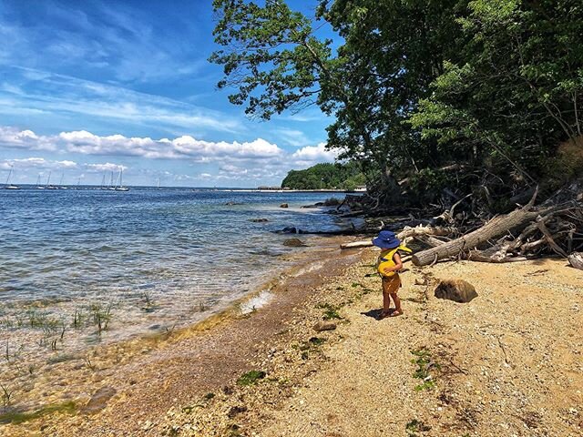 Slowly making our way out of the house more. Figured nature&rsquo;s always a good choice.
.
.
.
#thelongadventures #lifewiththeodoresteven #beach #beachlife #lifeonlongisland #garviespoint #lifewithlittles #letthembelittle #letthemexplore #beachday #