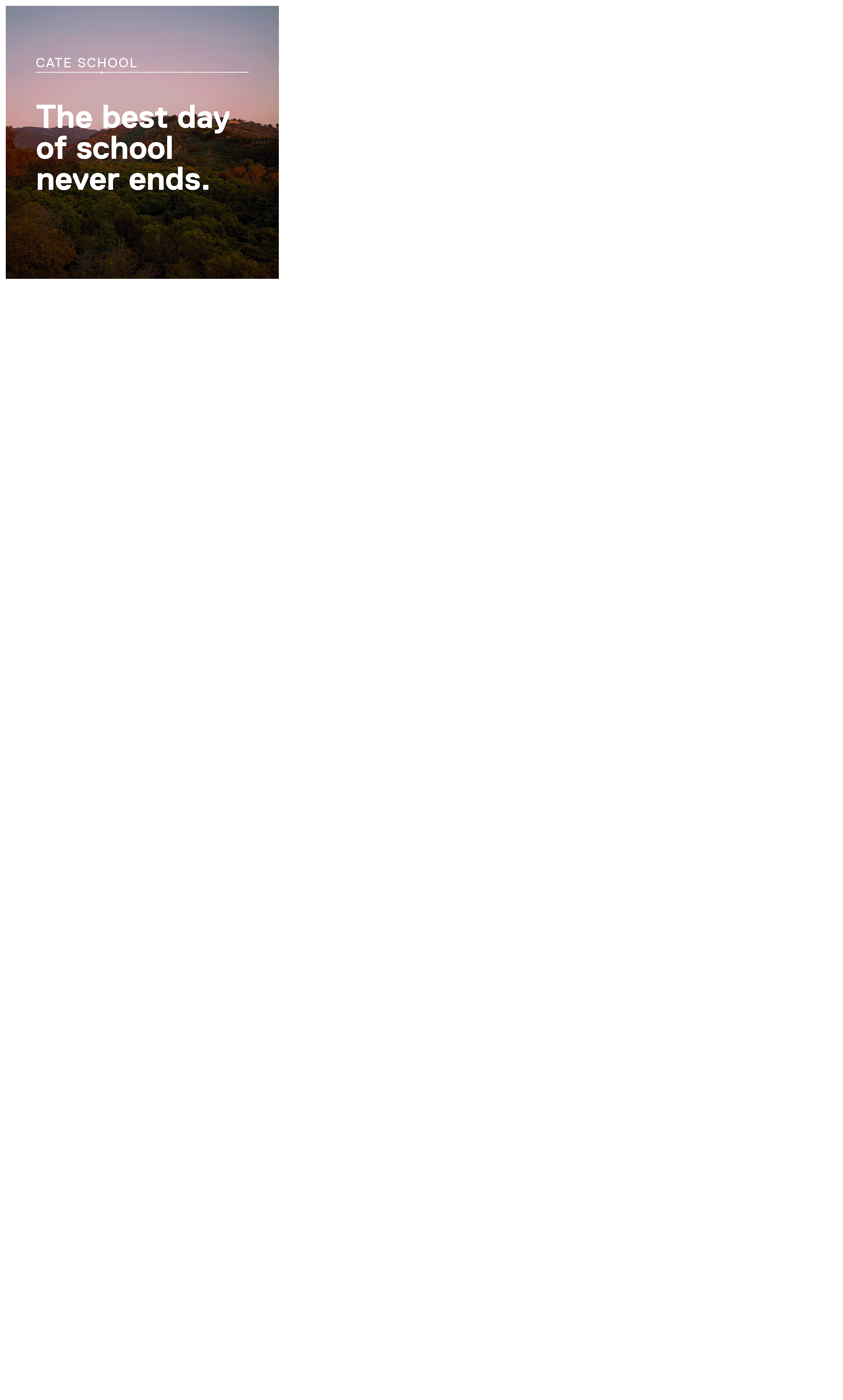 distinc_Cate-Website-Grid_12.gif
