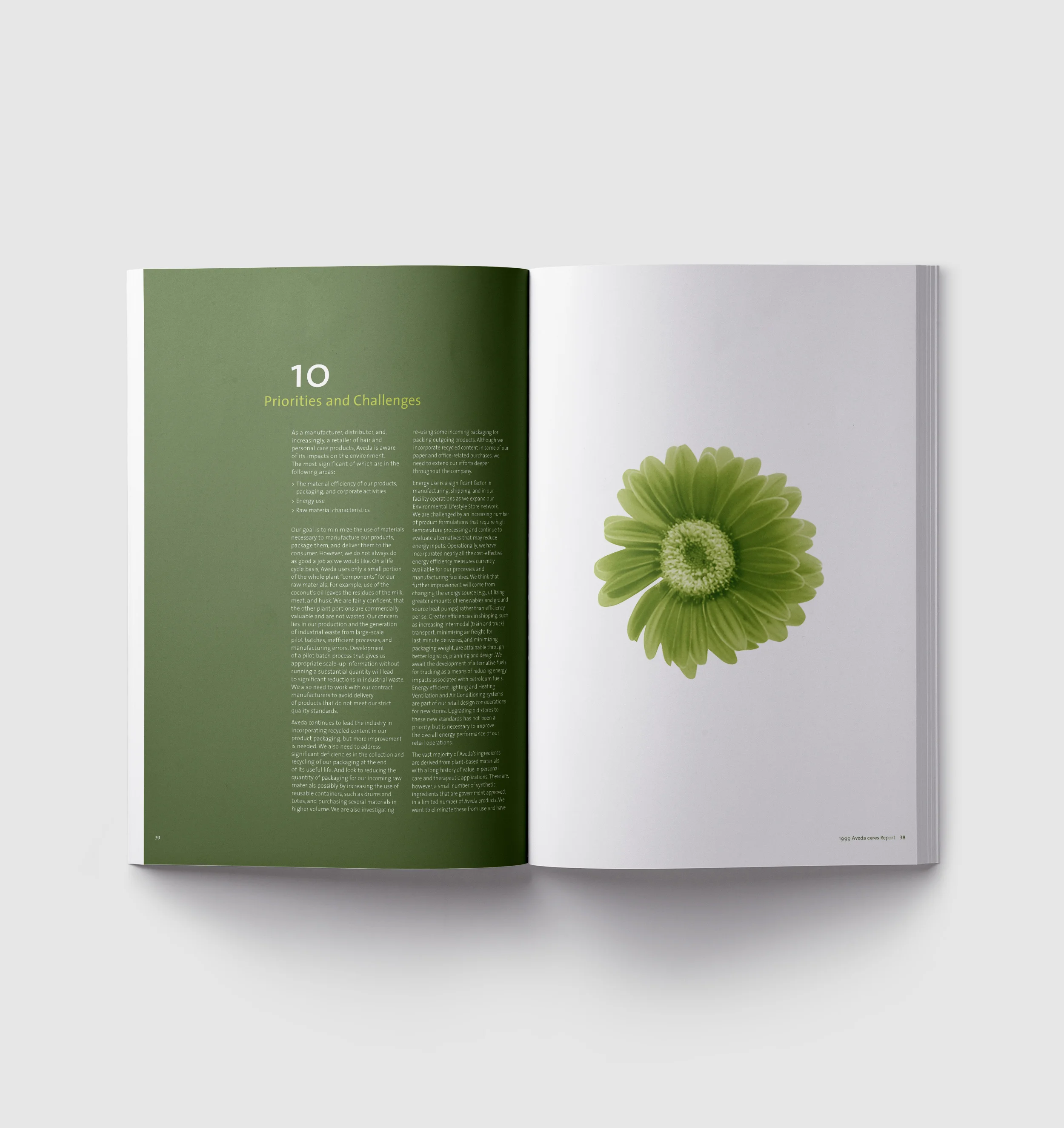 distinc_aveda-spreads-007.jpg