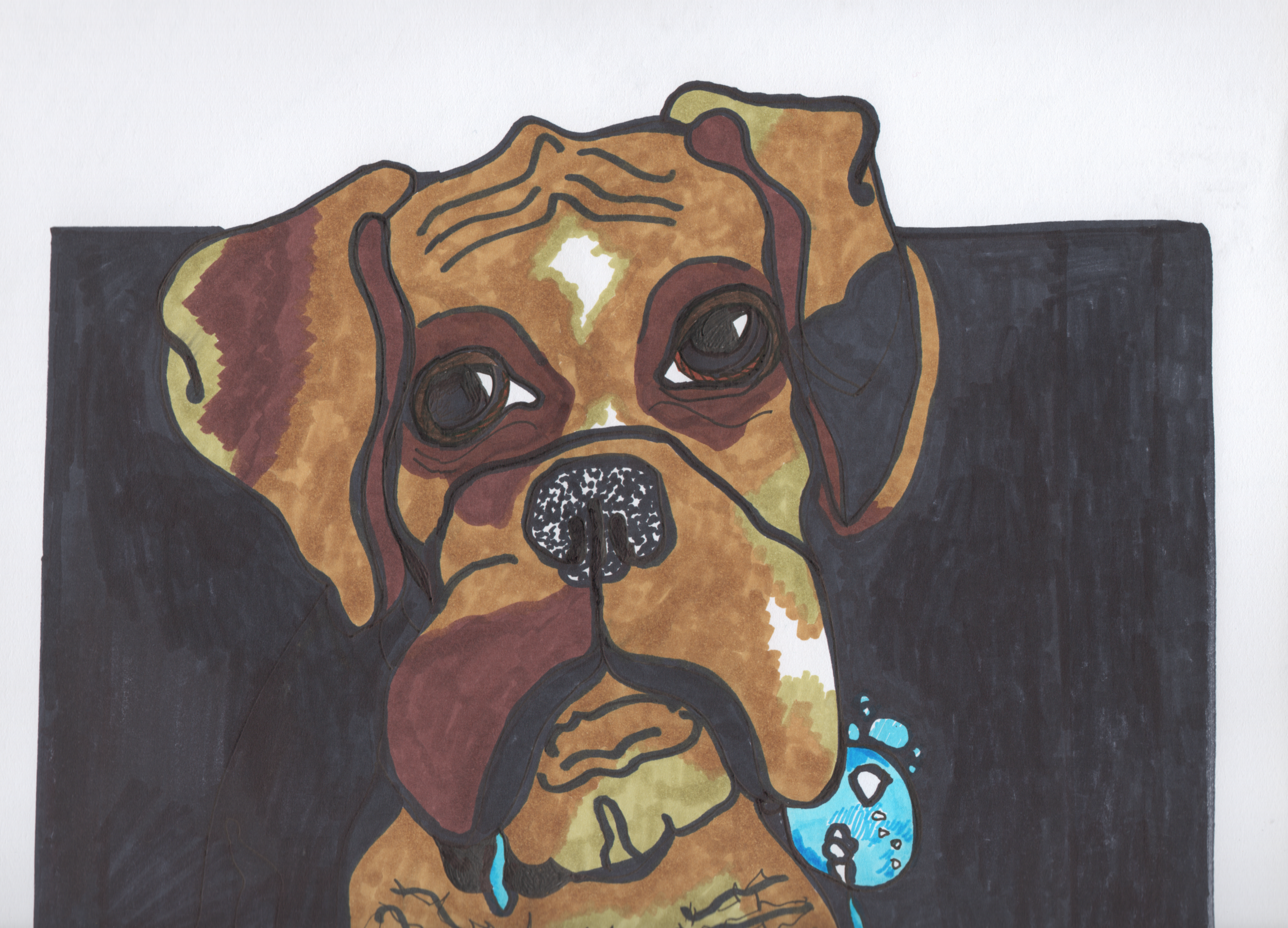 drool.png