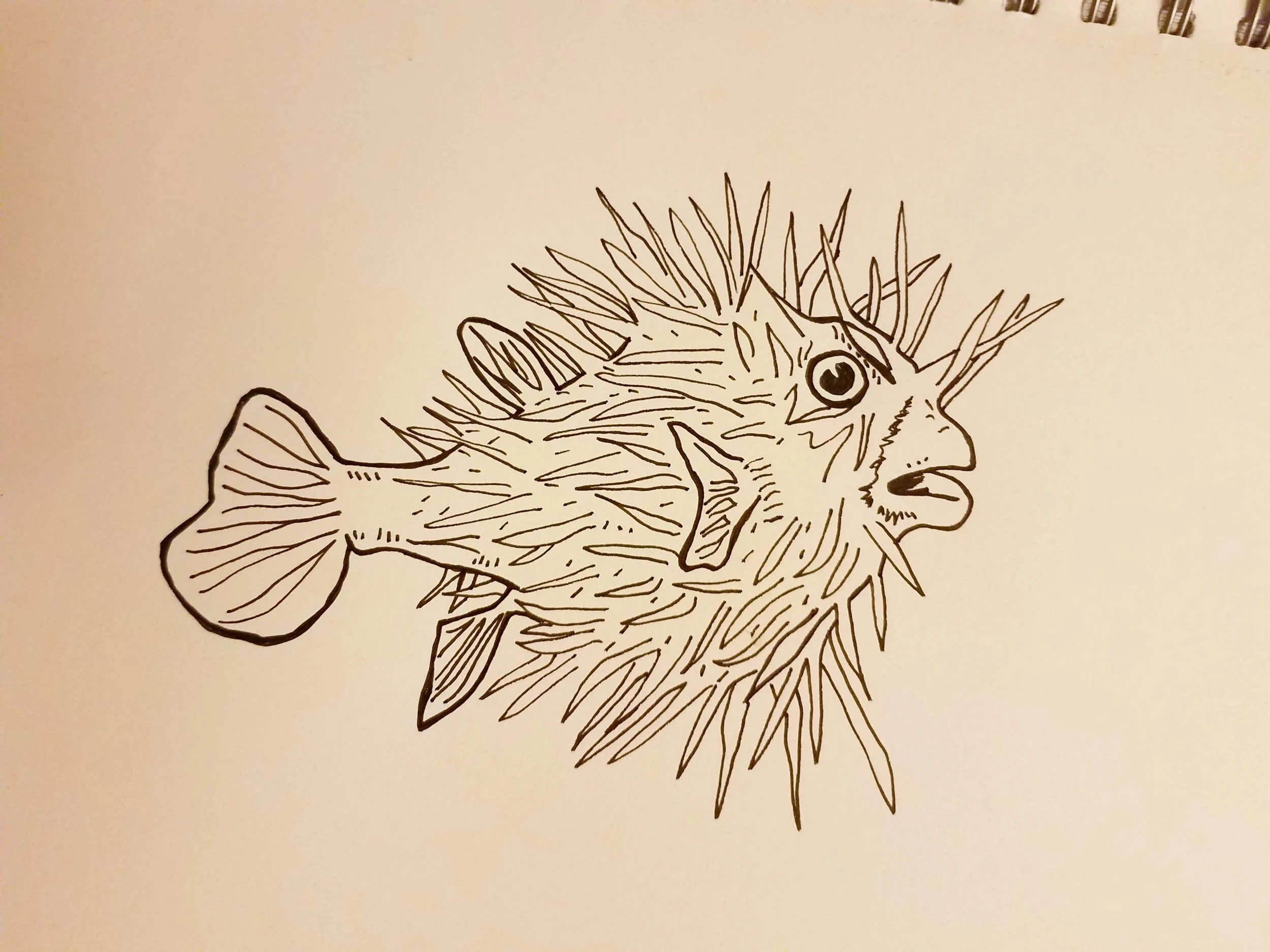 20181017_203423.jpg