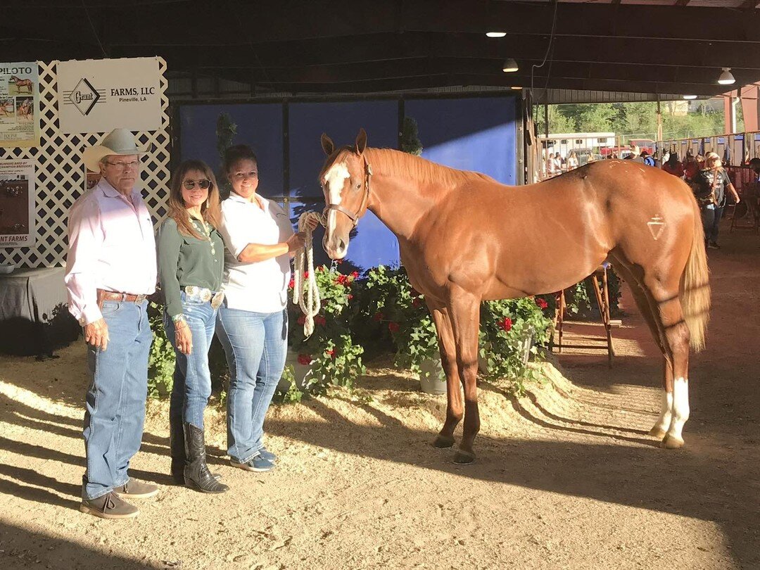 It&rsquo;s been a fun weekend of buying and selling horses here in Ruidoso! We&rsquo;re especially excited to be adding this nice filly to our group&mdash;Hip #270 is Famous Lady Kate. She&rsquo;s by the great One Famous Eagle and out of Kates Dynast