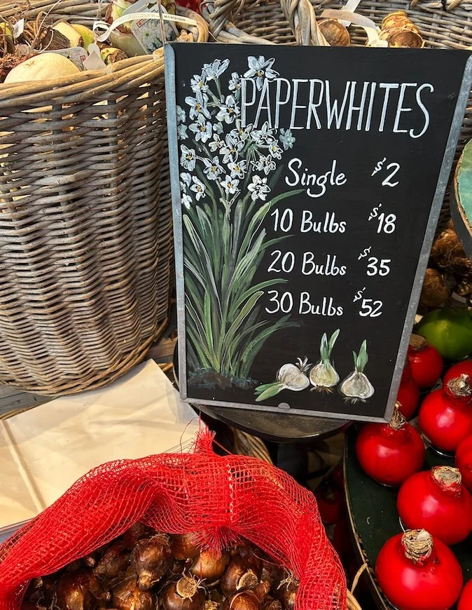 Paperwhites.jpg