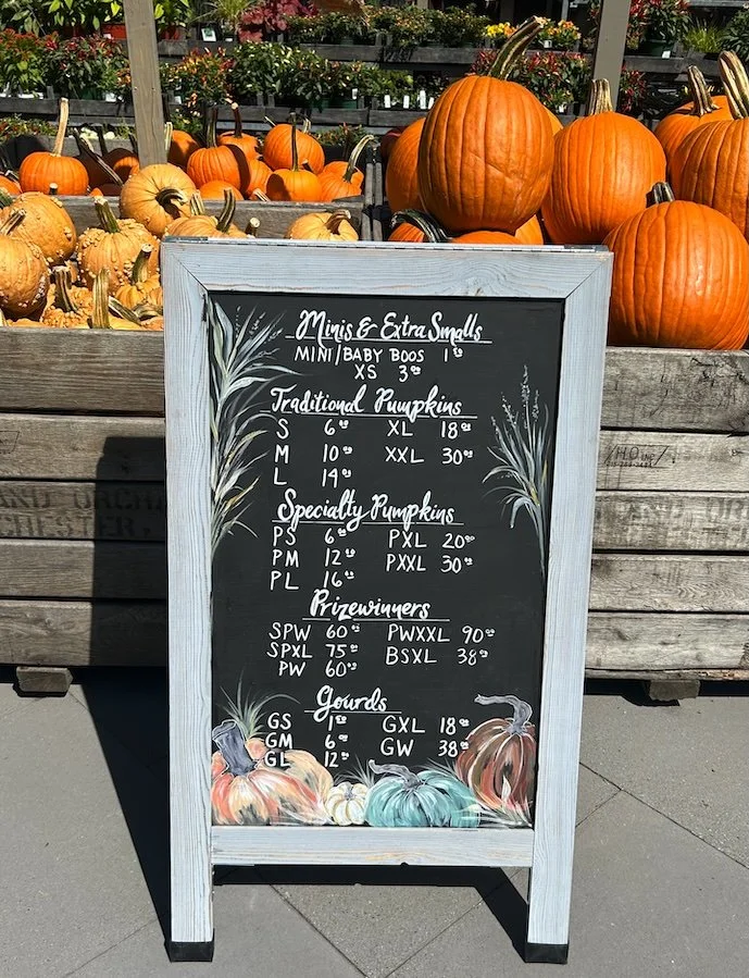 Pumpkins.jpg