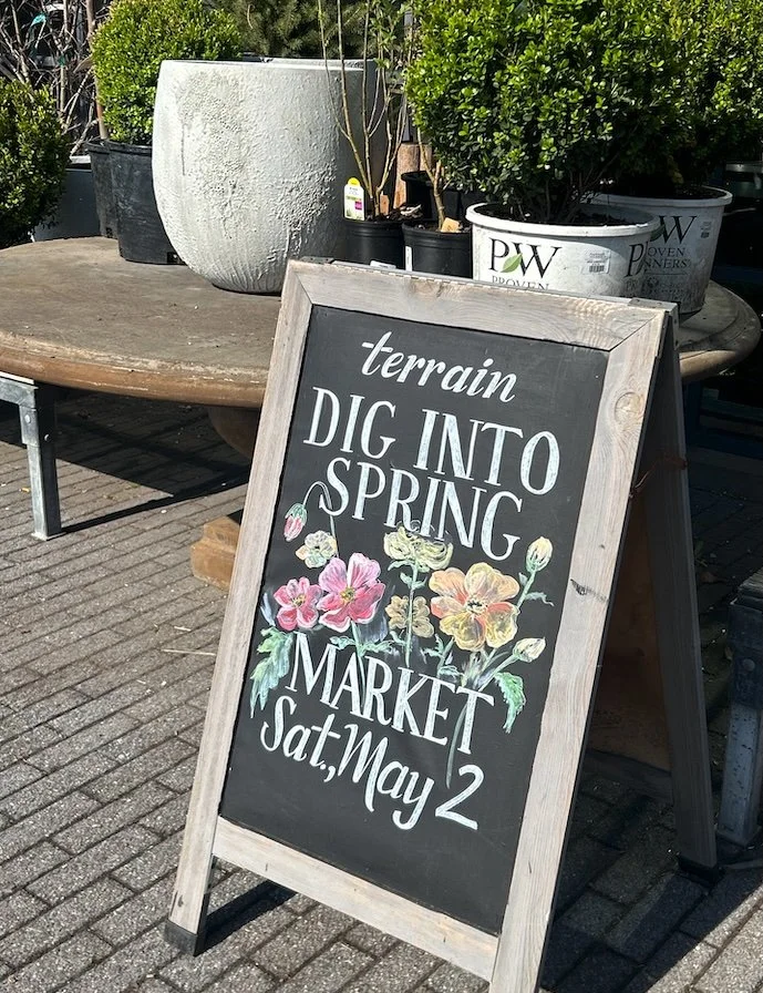 DigIntoSpring.jpg