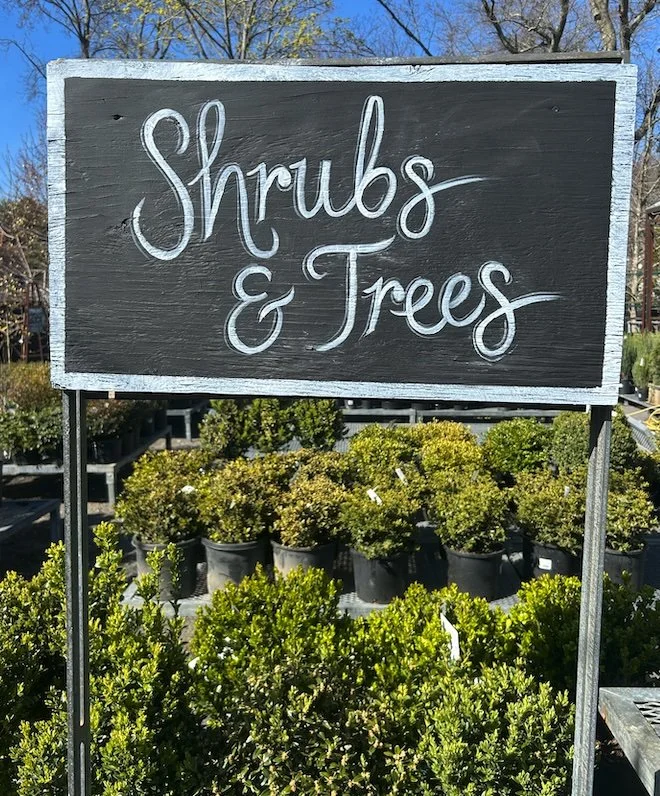 Shrubs:Trees.jpg