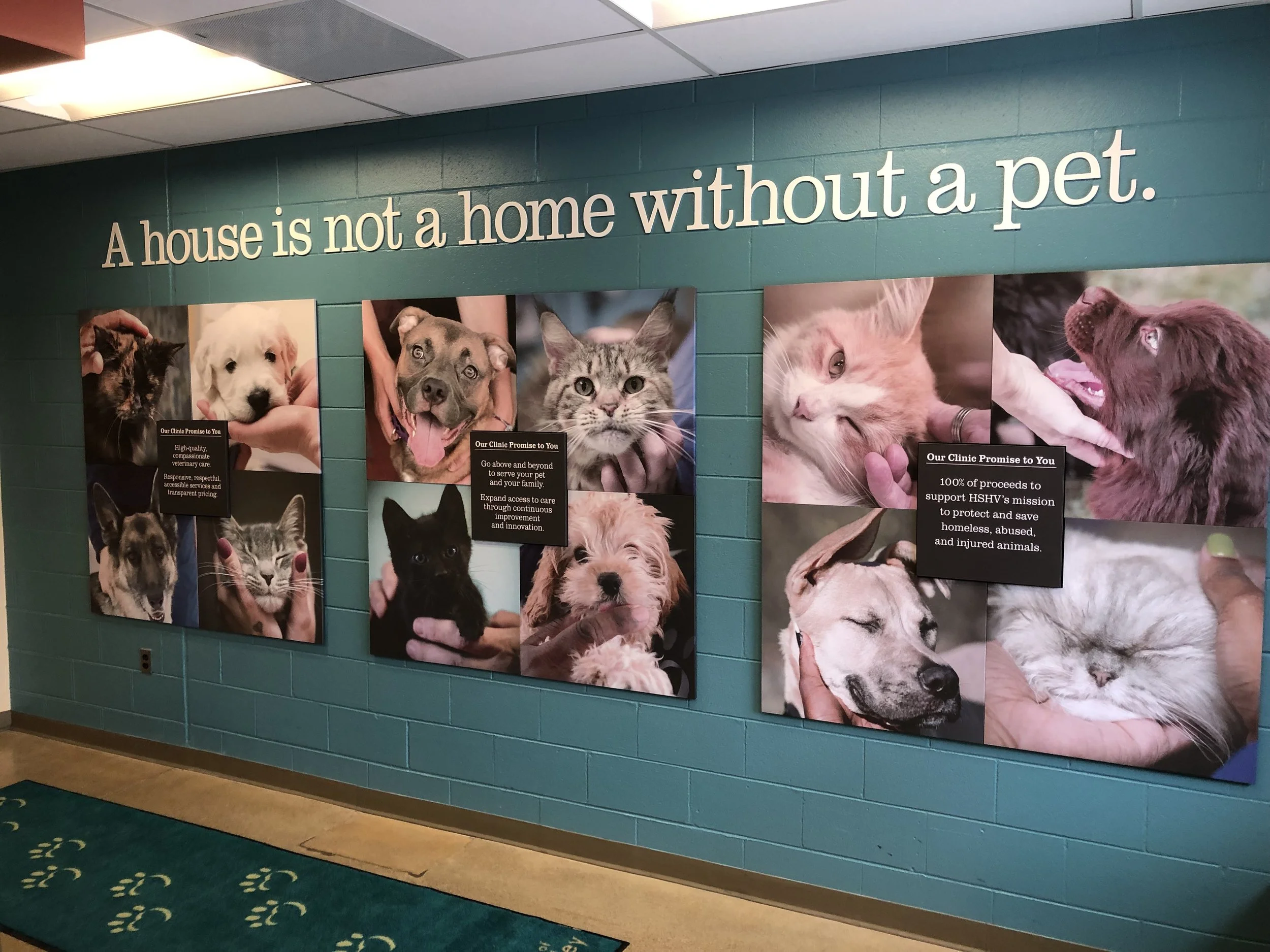 HVHS clinic wall.jpg