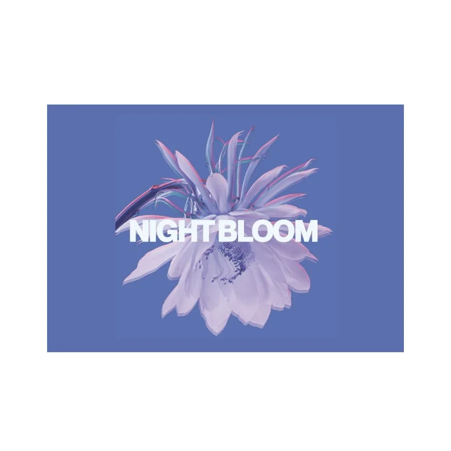 Night Bloom