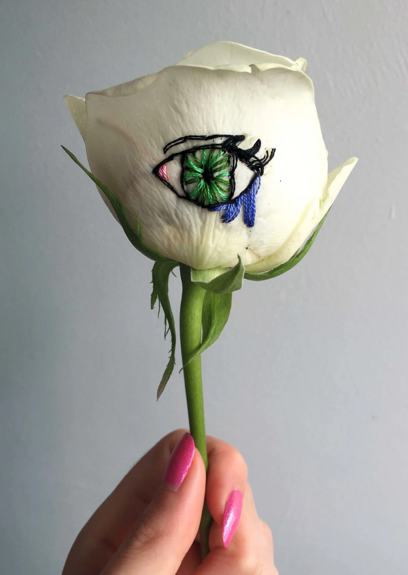 Sophie’s work as delicate as it is impactful