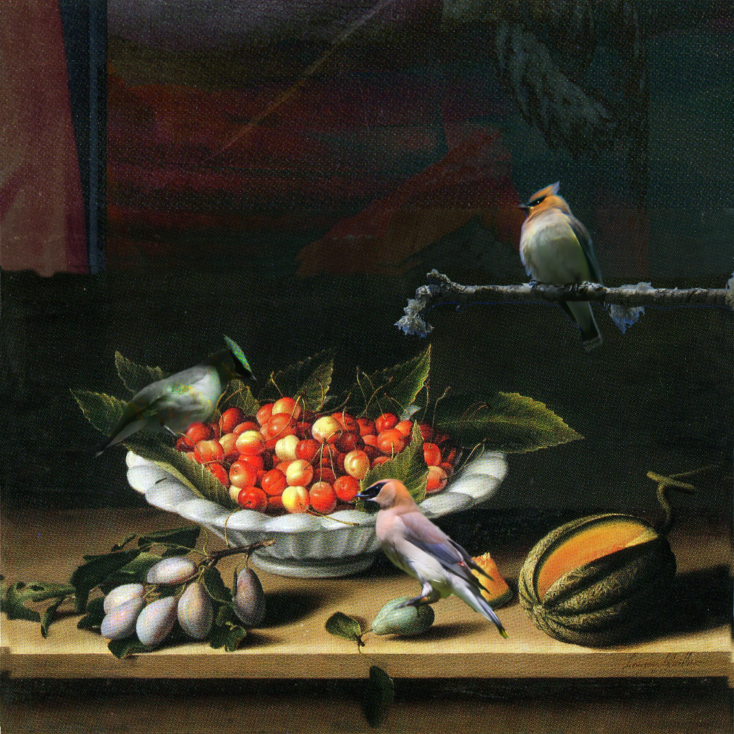 Louise Moillion - Coupe de Cerise, Prunes et Melon - 1633 - with Cedar Waxwings.