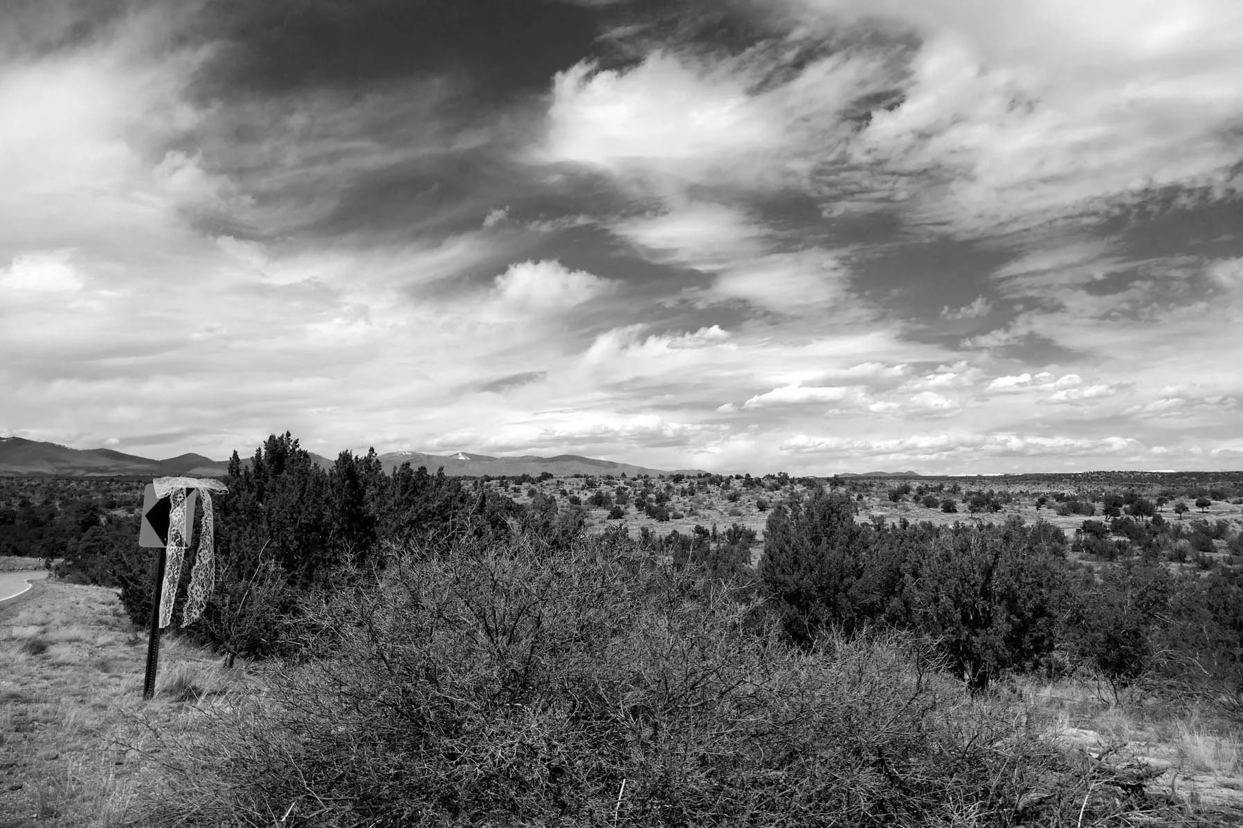 P1079713 copy 3.jpg