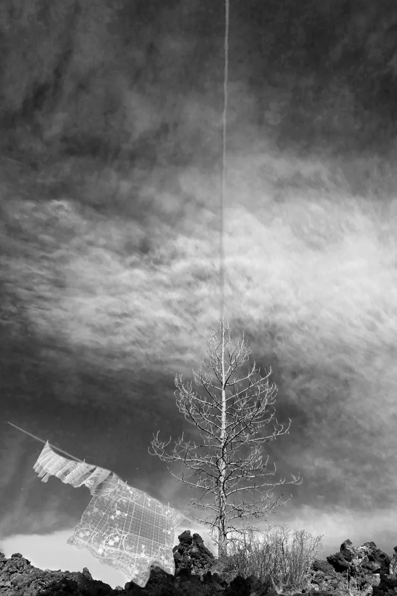 P1081666 copy 2.jpg