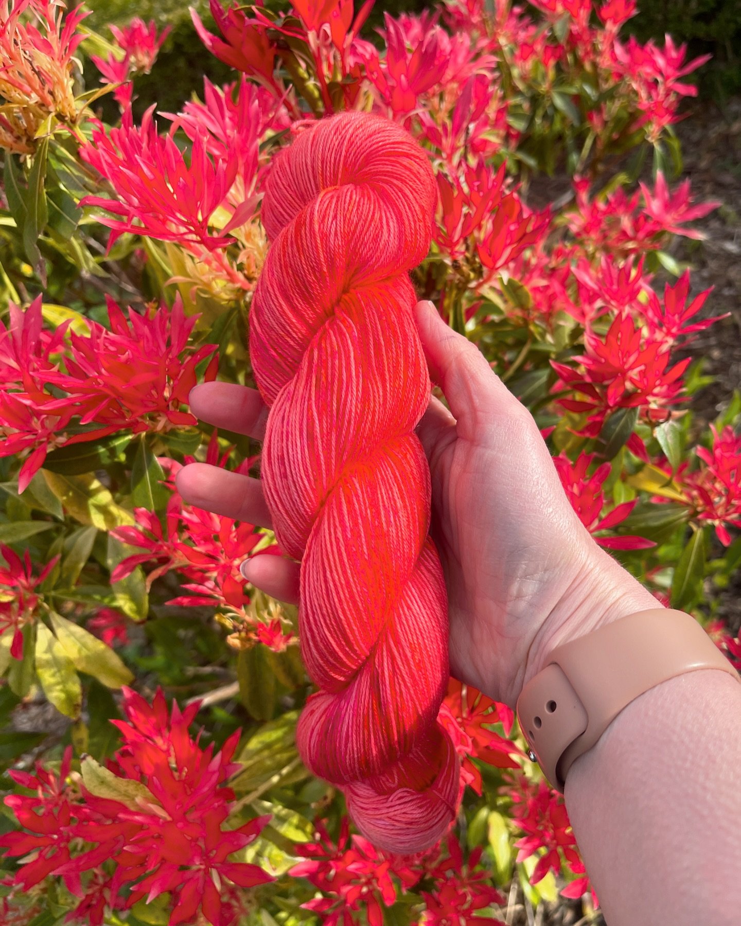 Japonica is on the dye list this week. I&rsquo;ve had a few requests for this on different yarn bases so just drop me a message if you&rsquo;d like some. 

Hope you are having a lovely Bank holiday weekend. Xxx
