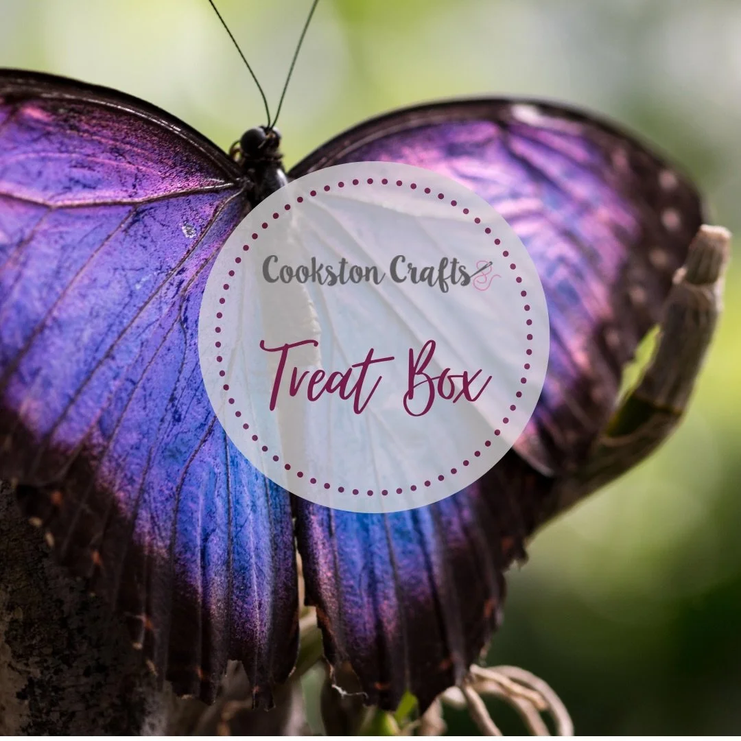 The January Treat Box will be based on this blue and purple butterfly 🦋 

The treat box comes out once every two months and includes handdyed yarn and a selection of little treats from small businesses. 

A little gift to yourself 🥰

Pre orders are