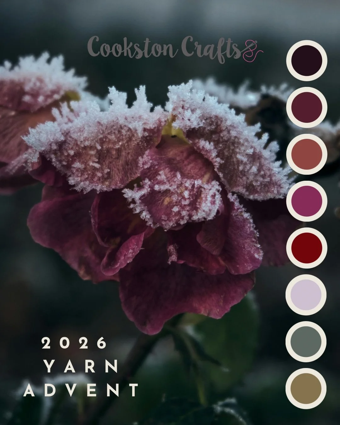 I&rsquo;m delighted to let you all know that there will be a Cookston Craft Advent this year! 

Frost-kissed petals, deep berry tones, and evergreen sprigs will inspire 24 carefully curated mini skeins. 

I&rsquo;ll share more mood boards with you ov
