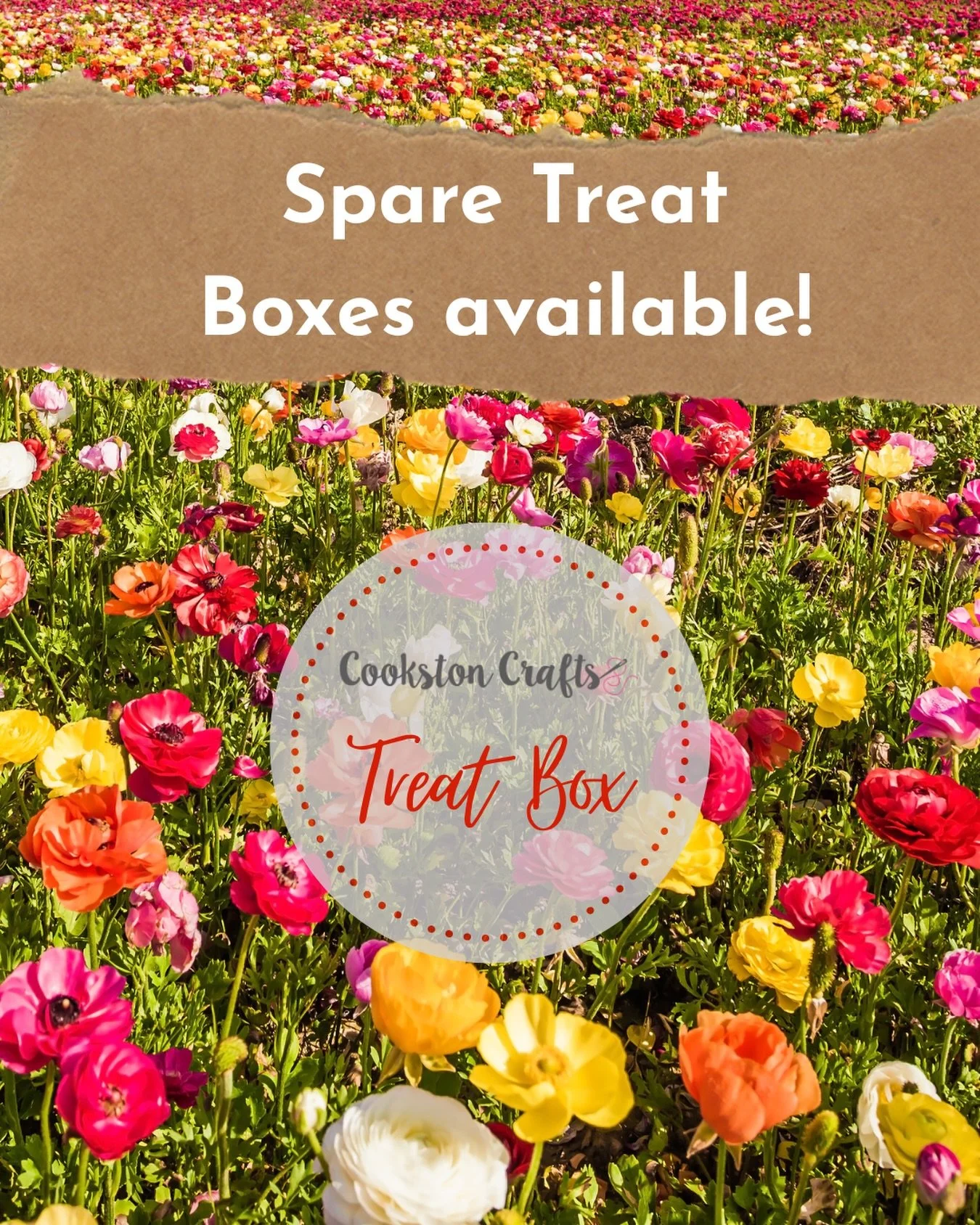 I have a few spare Treat Boxes available to order on the website. 

There a choice of double knit or fingering weight yarn, and if you don&rsquo;t like surprises just message me for a look at the contents 🤫

#cookstoncraftstreatbox #yarnclub #yarnsu
