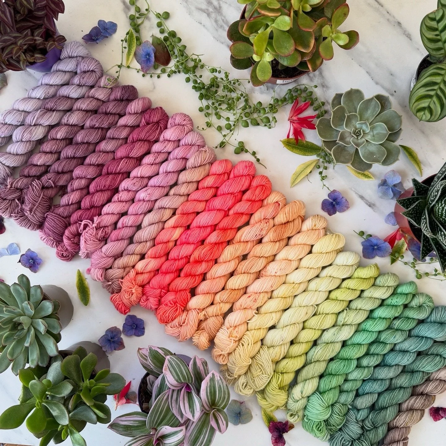 A quick look through some of the advents from previous years&hellip;.

This years advent will be based on rich velvety roses and it will launch this Wednesday 15th April at 8pm

As always there will be a choice of yarn bases and as well as the usual 