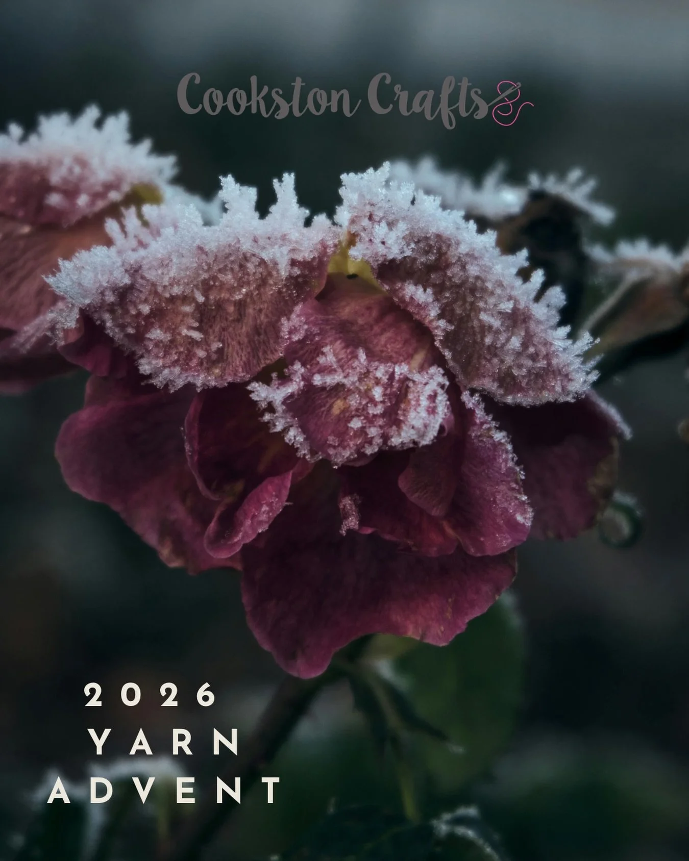 The Pre Orders for the 2026 Advent will be closing tomorrow Friday 1st May at 9pm. 

There&rsquo;s a blog post over on the website which answers lots of FAQ&rsquo;s but please reach out to me if you&rsquo;d like to query anything first.

Thank you so