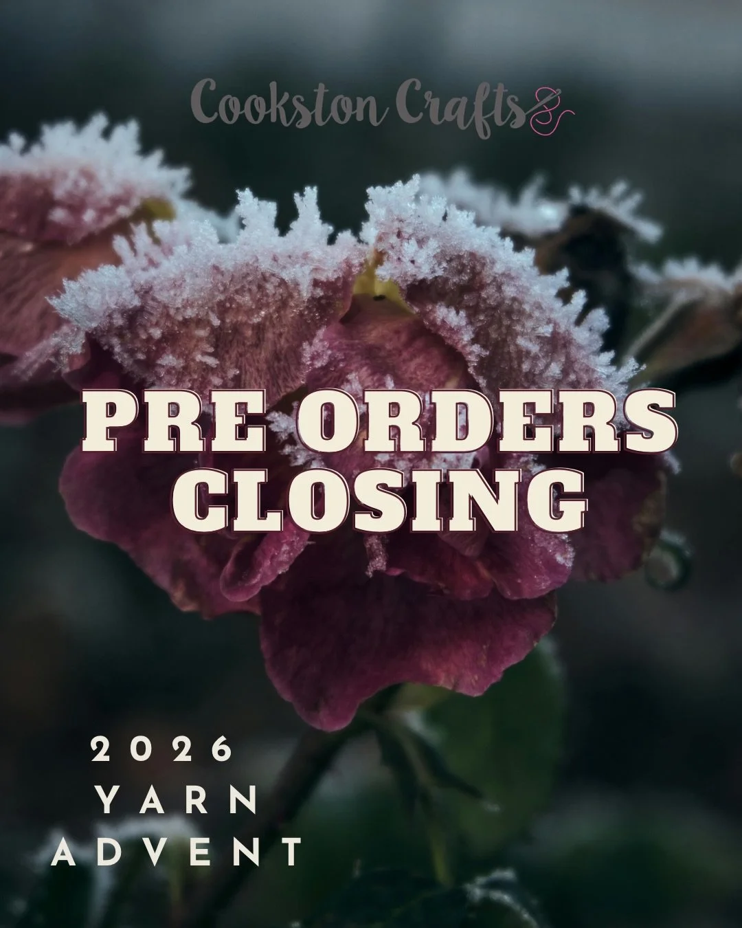 Thank you so much for all your support with the advent pre orders. 🥰

I&rsquo;ll be closing the pre orders at 9pm tonight. 

I always dye a few extra boxes in case any go missing or I inevitably miss count 😂 These are listed in November once I know
