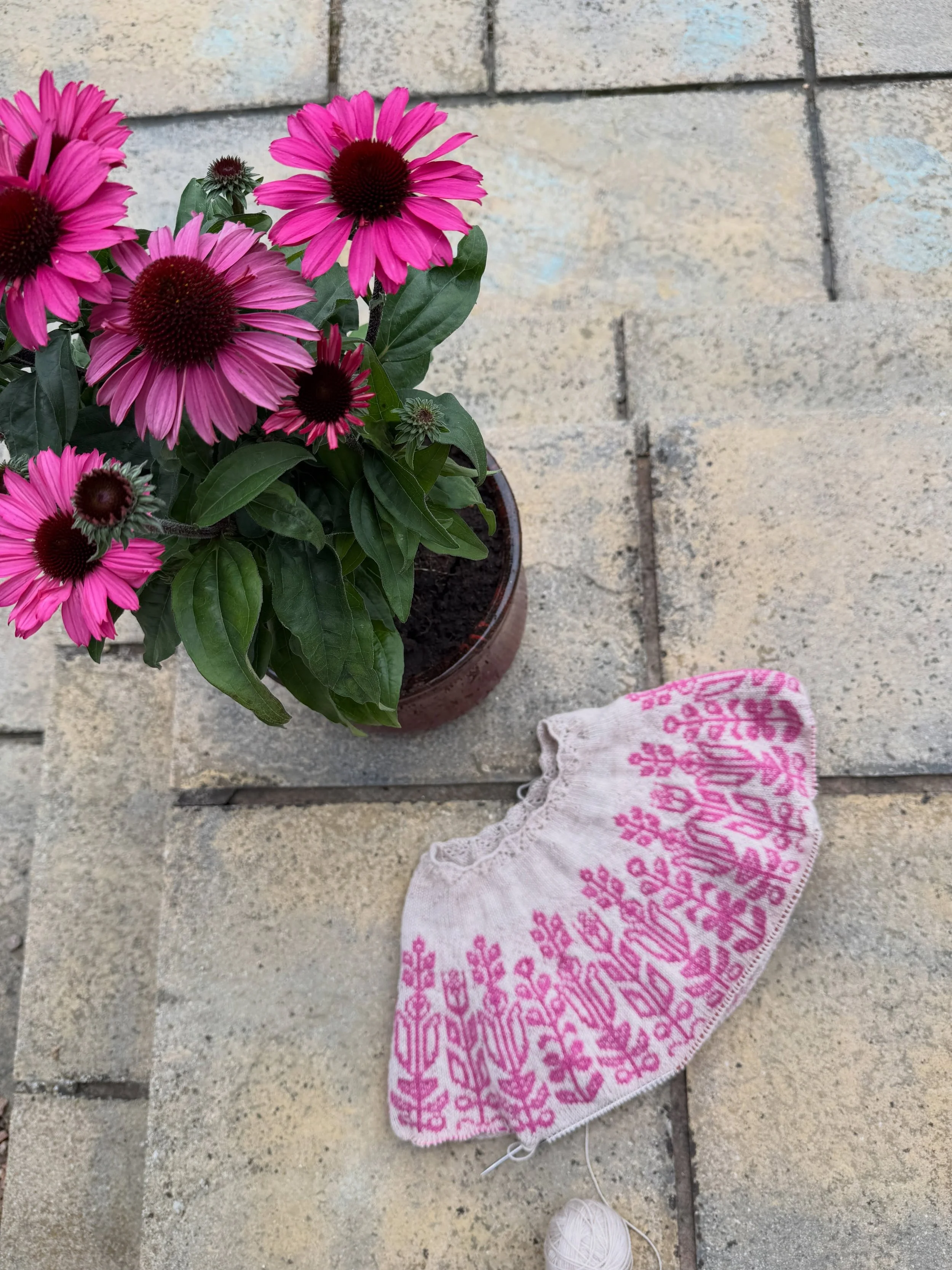 Let&rsquo;s use the comments section to share what&rsquo;s on your needles or hooks this Sunday evening. 

Did you know you can now add photos in the comments section on Instagram? 

These echinacea flower heads are simply stunning and make the Wildf