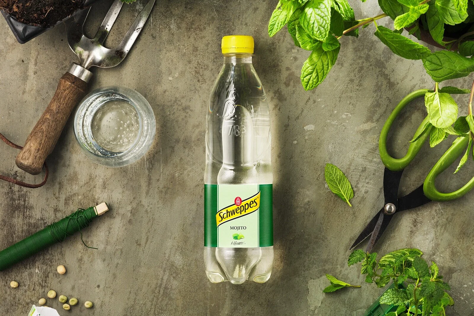 Mikkel Jul Hvilshøj 