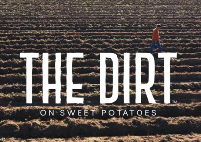 Vegar Abelsnes For Daily Harvest