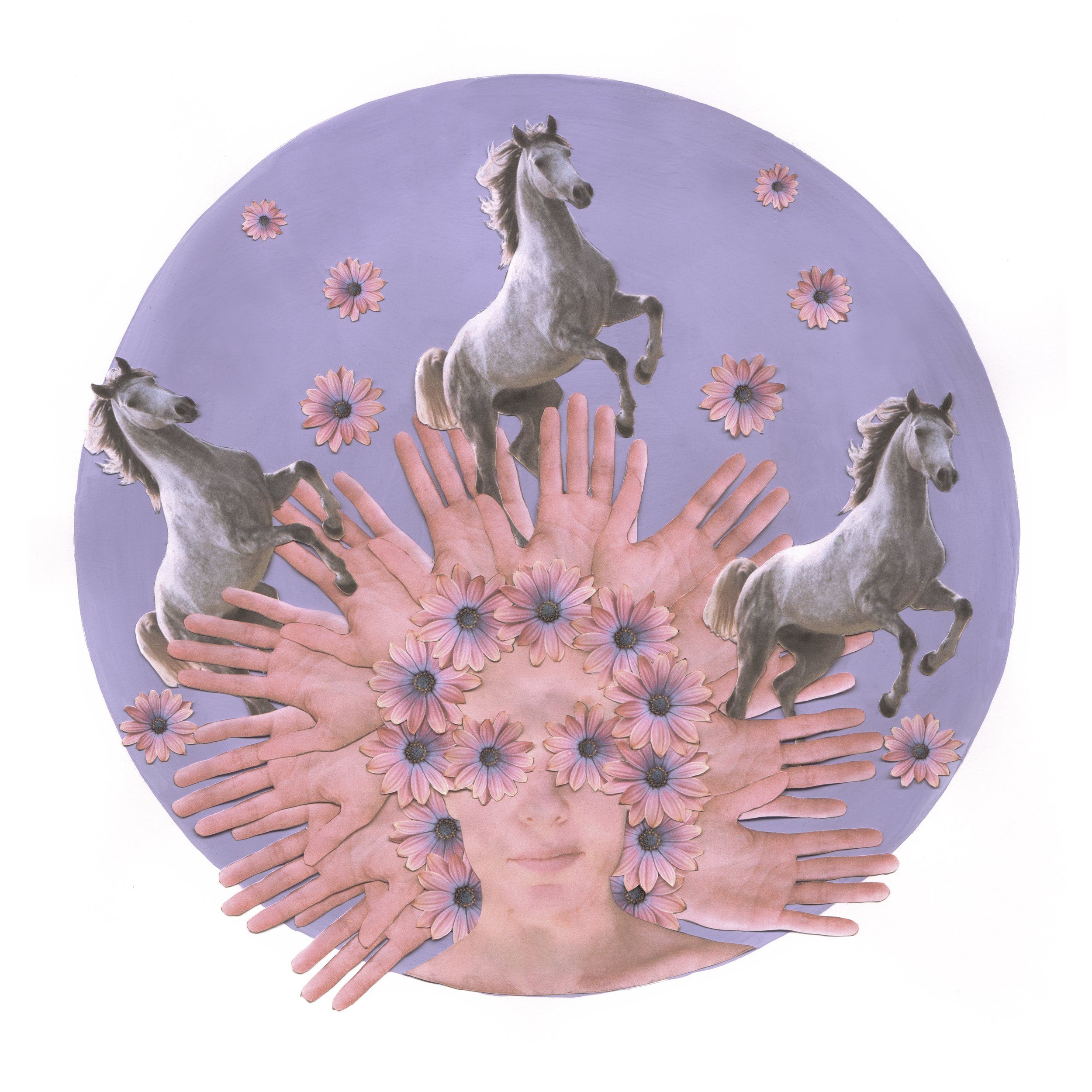 Free Rein.jpg