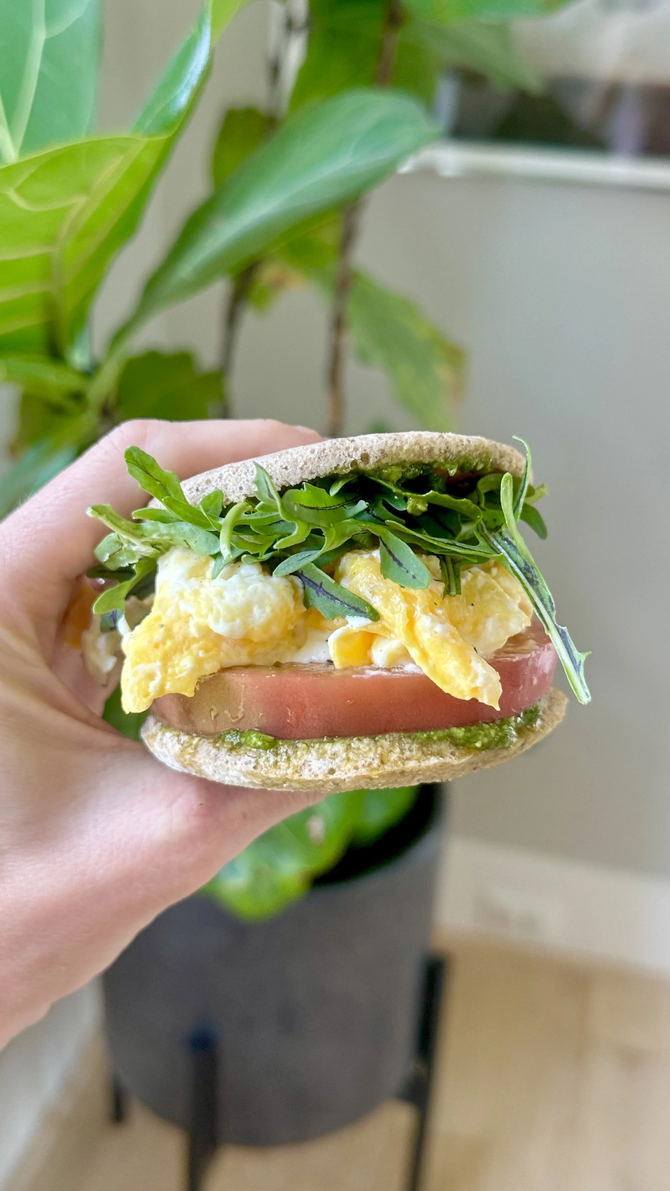 Pesto, Goat Cheese, Tomato and Egg Sandwich 