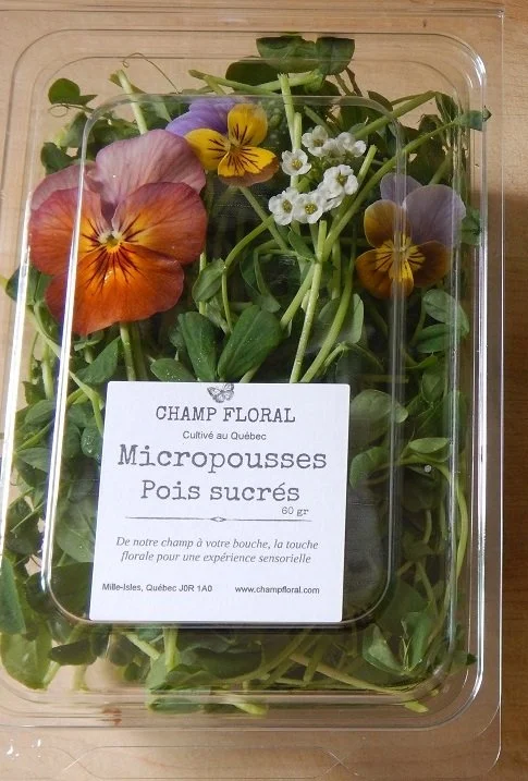 Barquette en épicerie