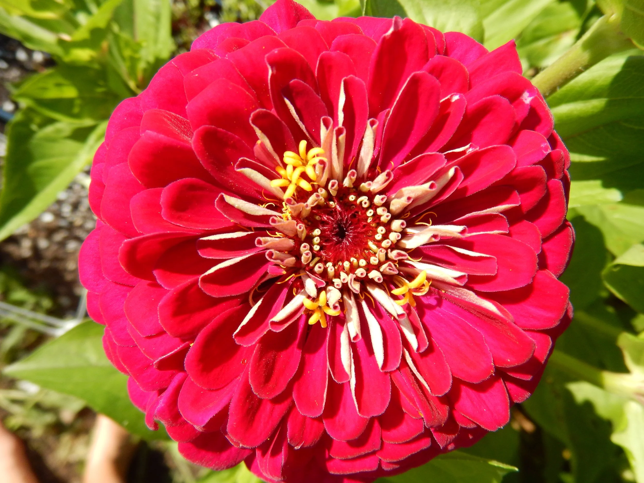 DSCN2838.JPG