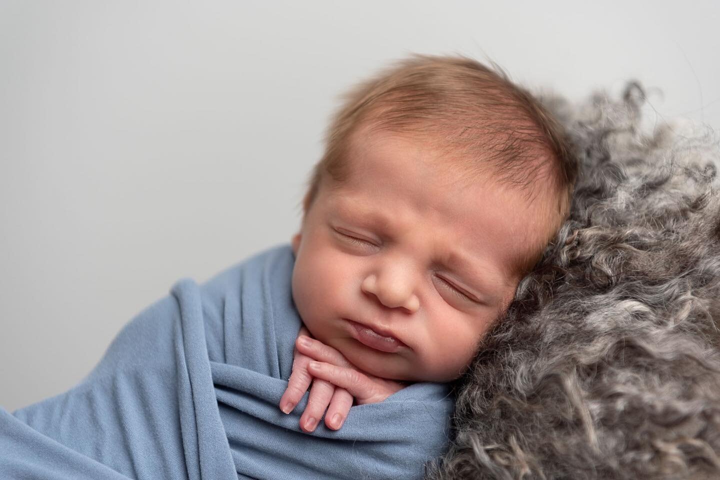 The coziest little guy 💙