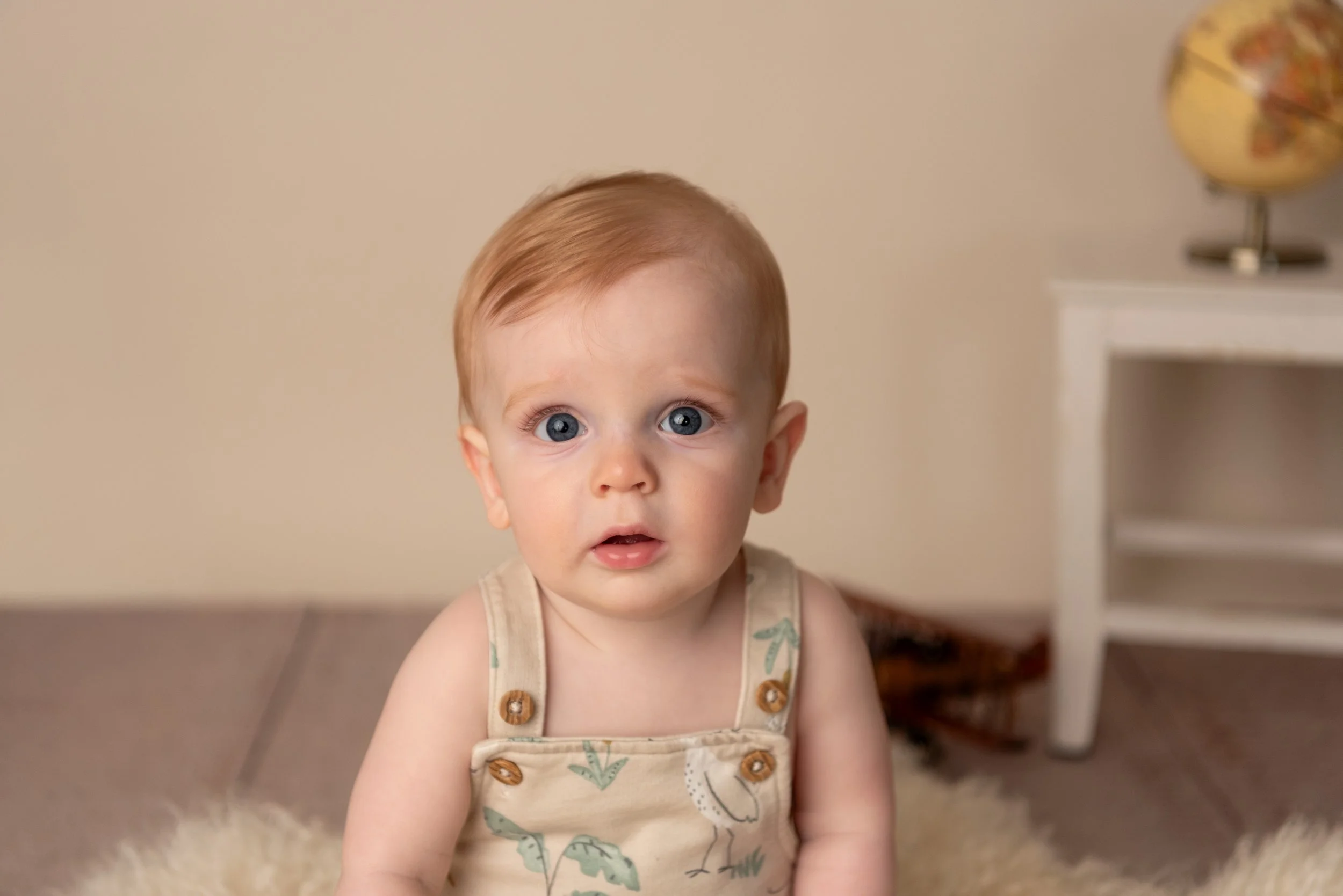 Wesley's Sitter Session | Gibsonia Family Photographer | Gibsonia, PA  