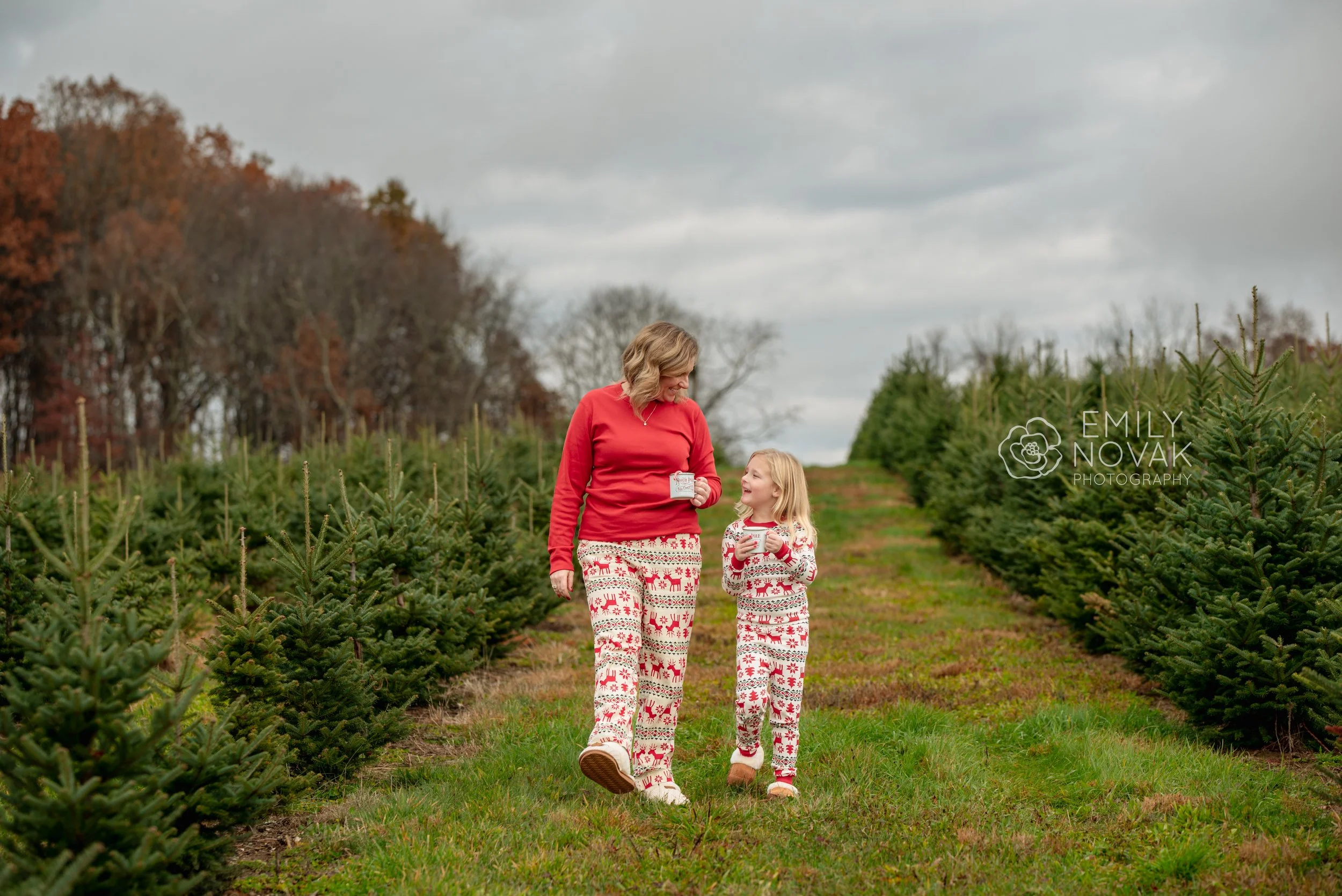 The Y Family Christmas Tree Farm Session | Cheswick Family Photographer