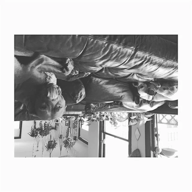 #blackandwhite #upsidedown #losangeles Kids 🖤