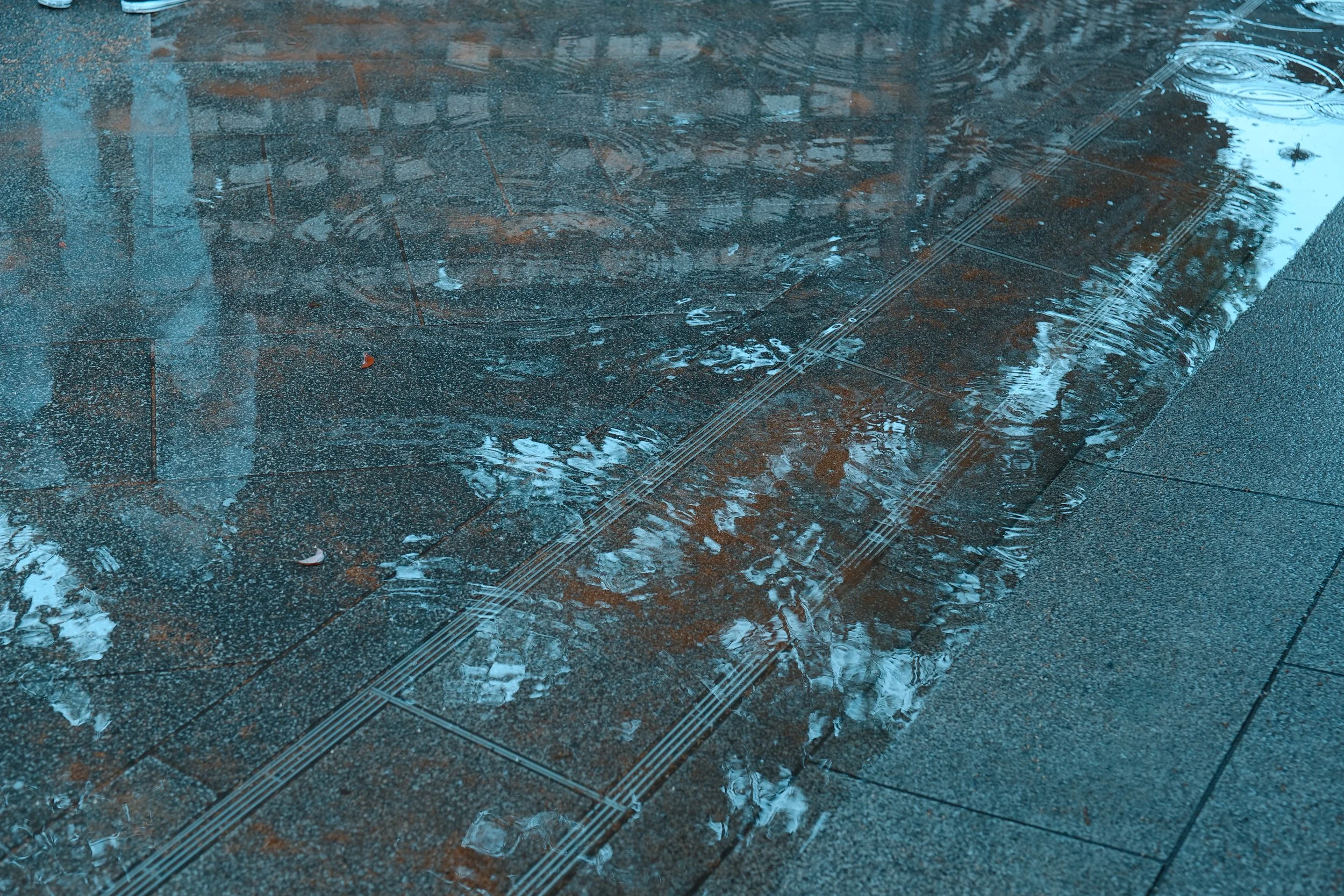 BF_03261.JPG