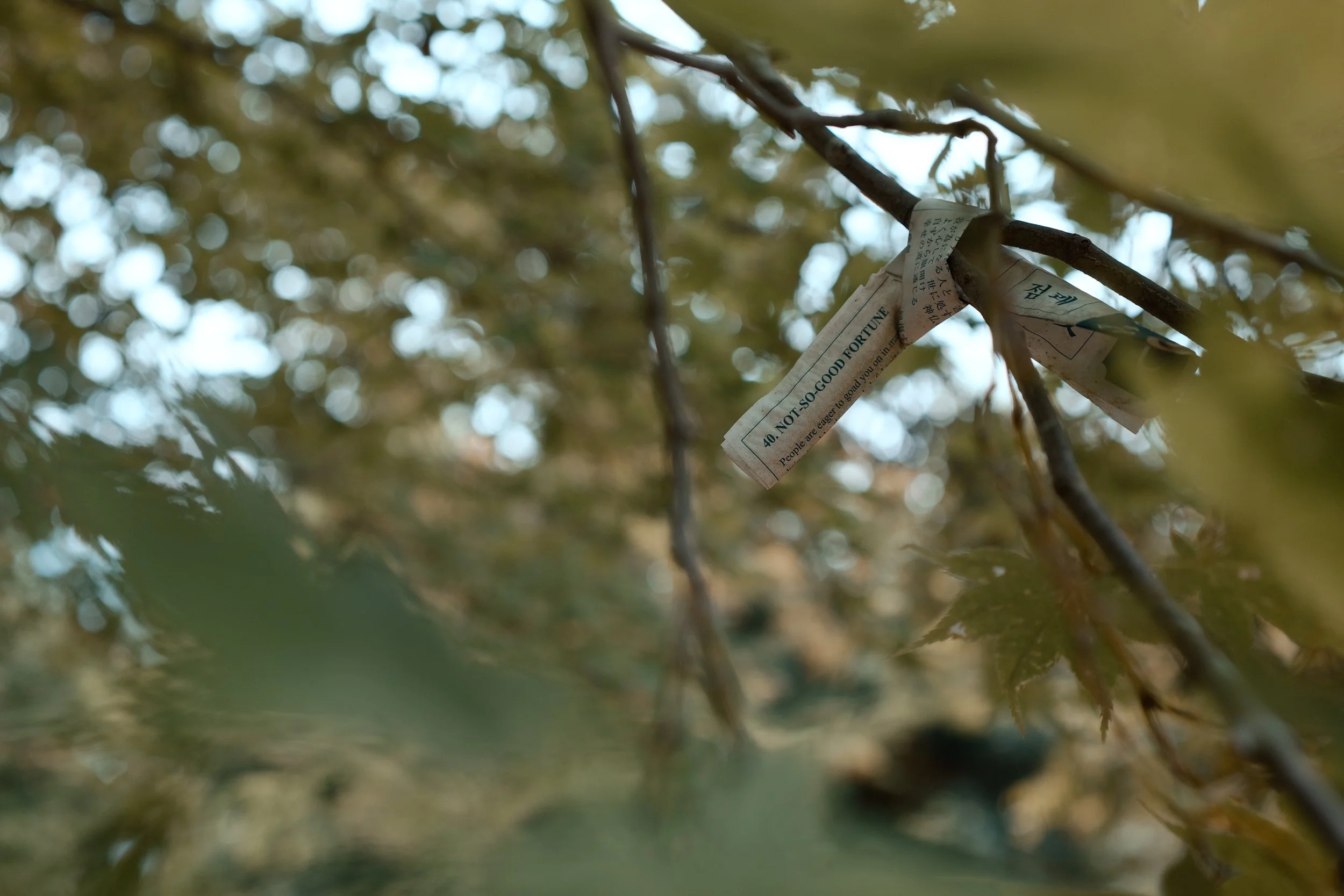 BF_05603.JPG