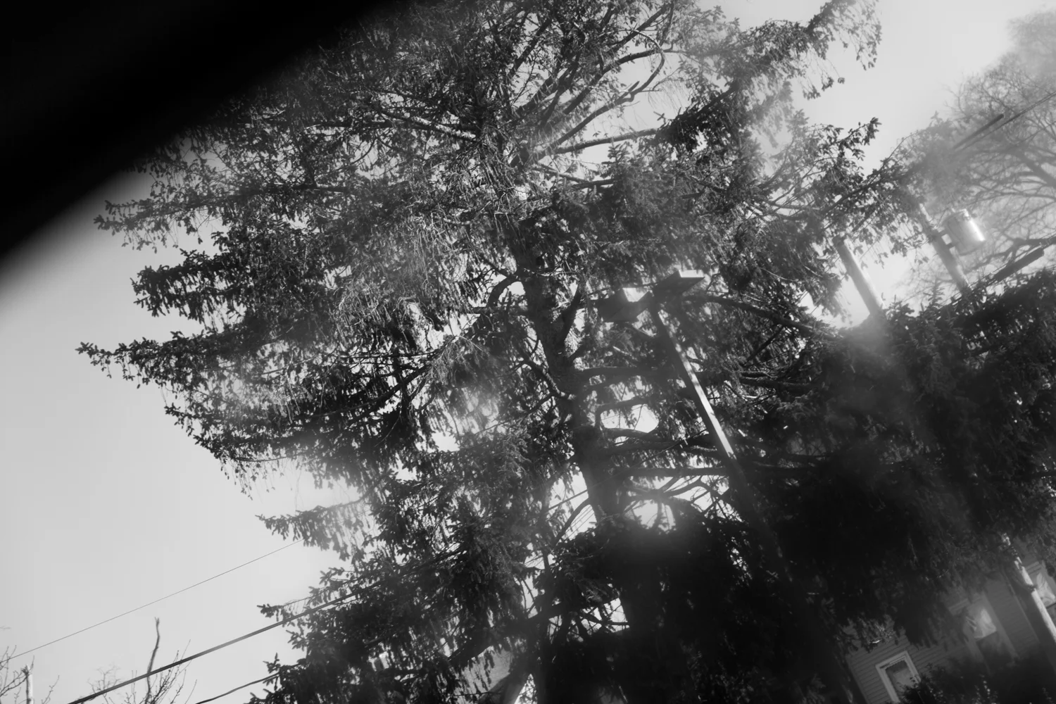 Farkas_In-Between_07.jpg