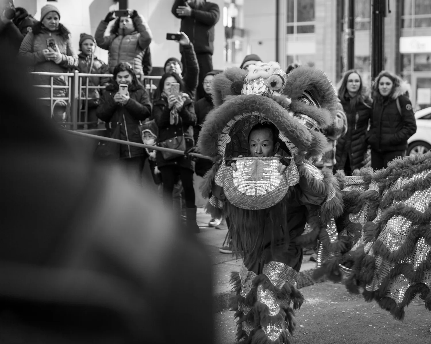 Farkas_Chinese New Year_09.jpg
