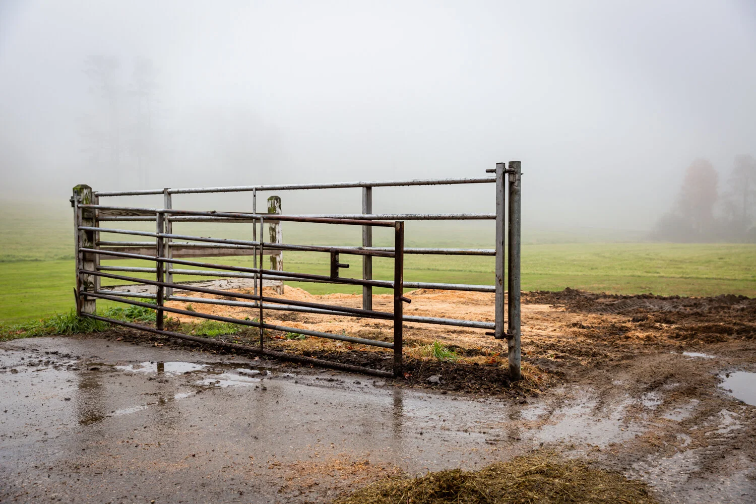 Farmer Fence.jpg