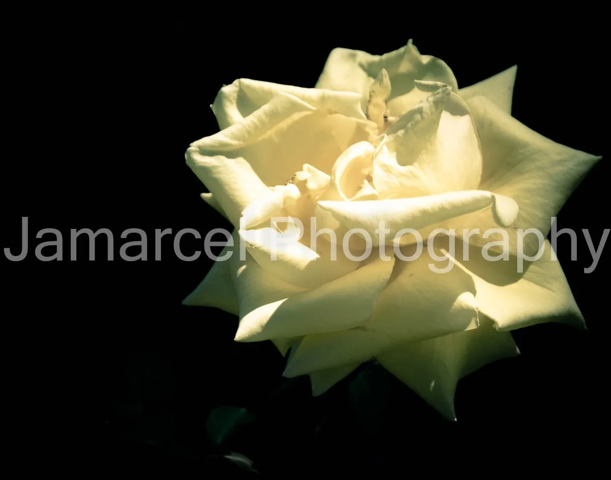 Color-52.jpg