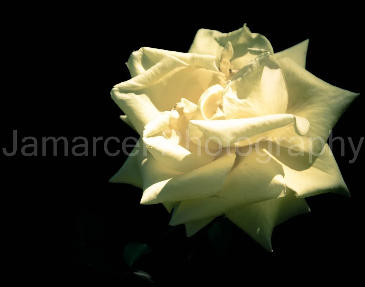 DSC_2244.jpg