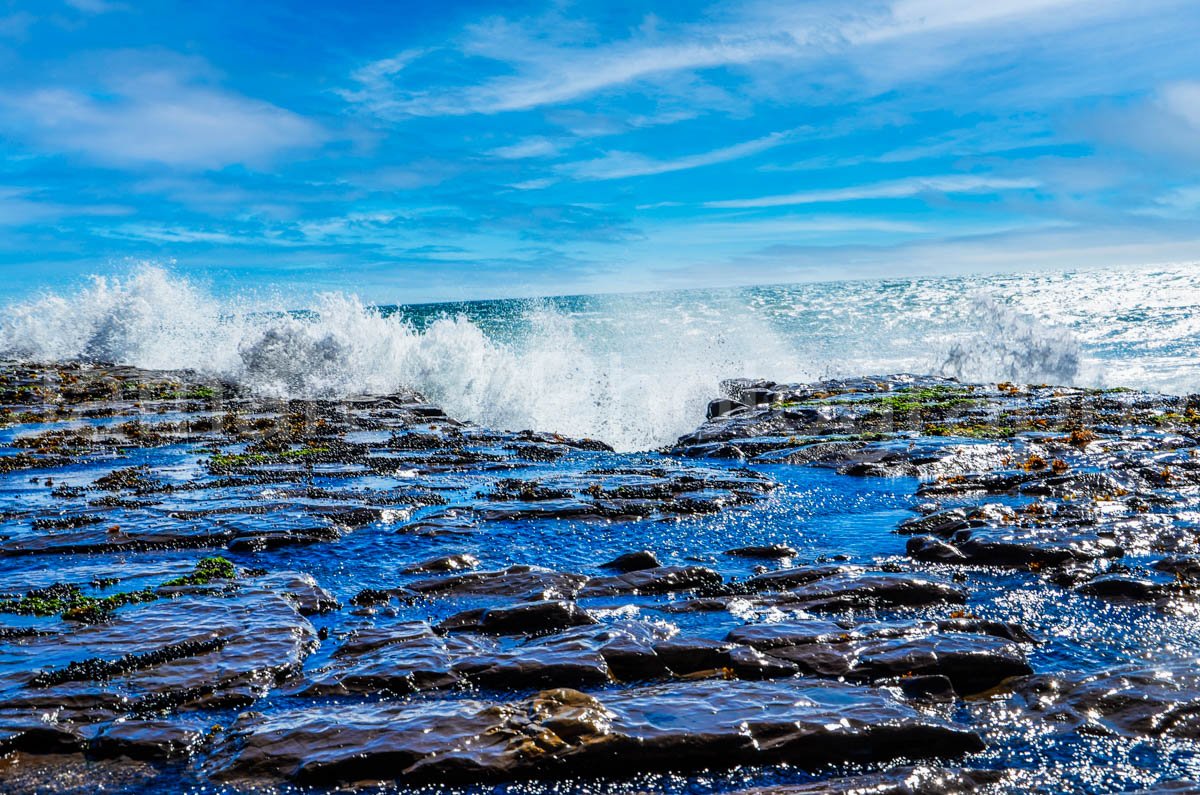 DSC_7447-Edit-2.jpg