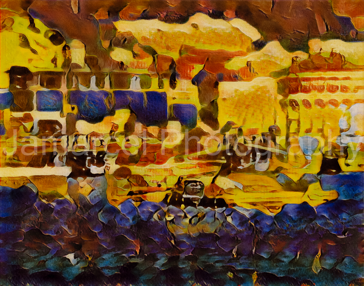 Catalina (73 of 183)-Edit-Edit.png