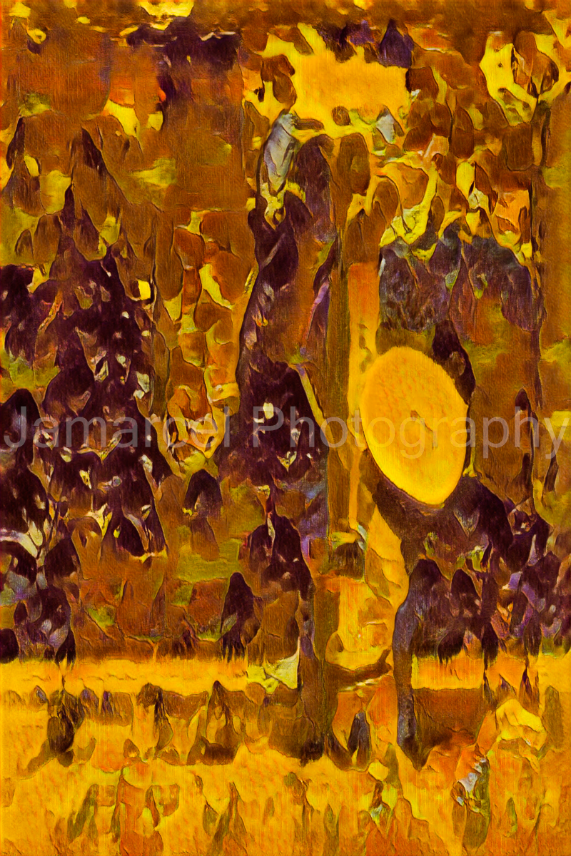 JMP_5216-Edit.png